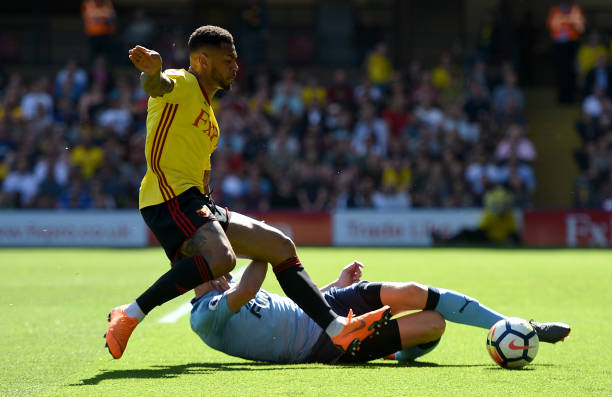 的预测中 的预测中